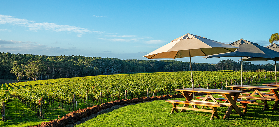 Hamelin Bay Wines estate